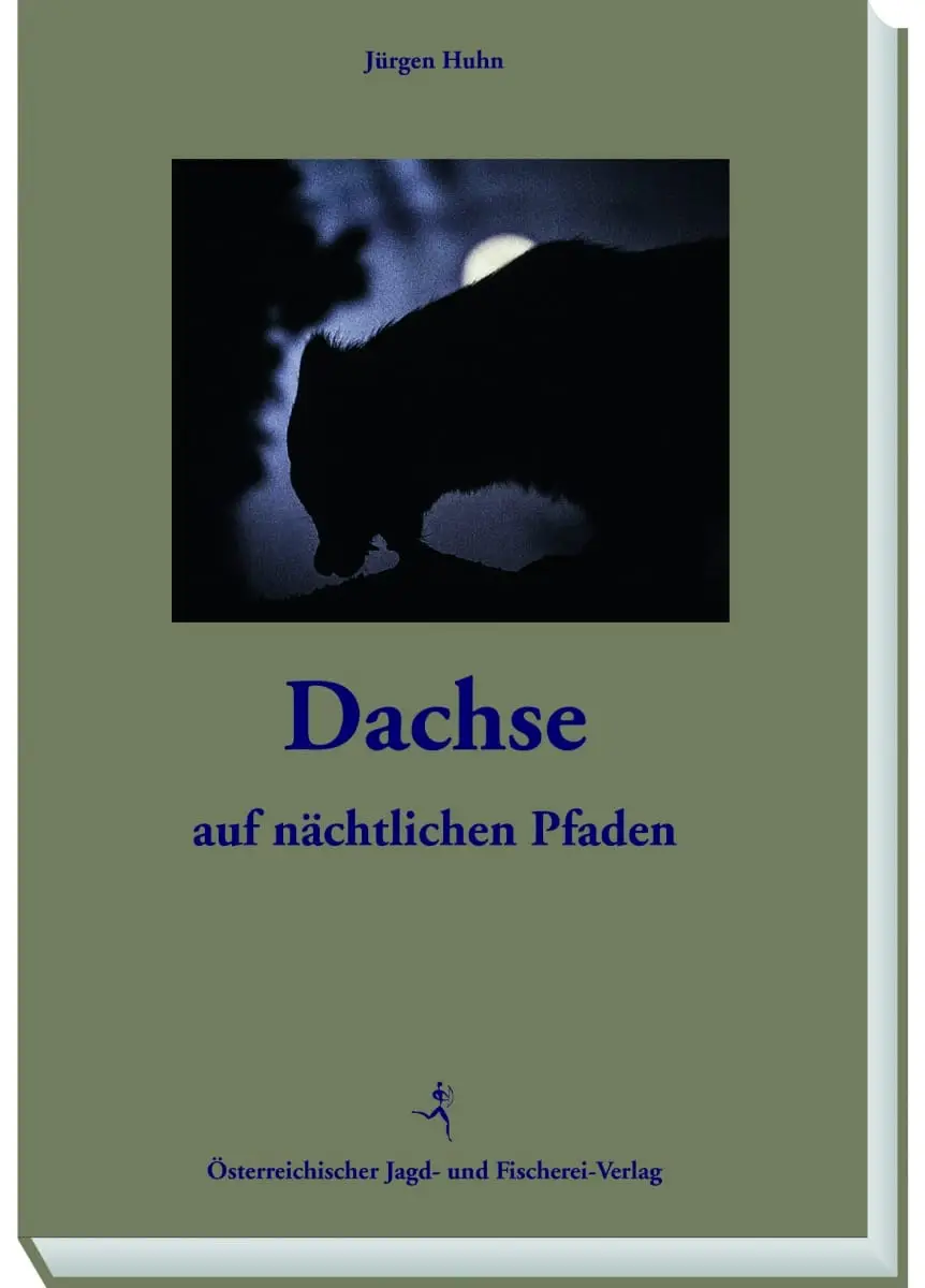 Dachse - auf nächtlichen Pfaden